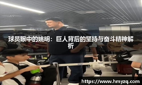完美体育app下载安装