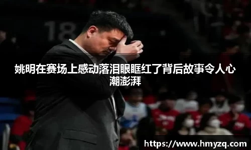 完美体育
